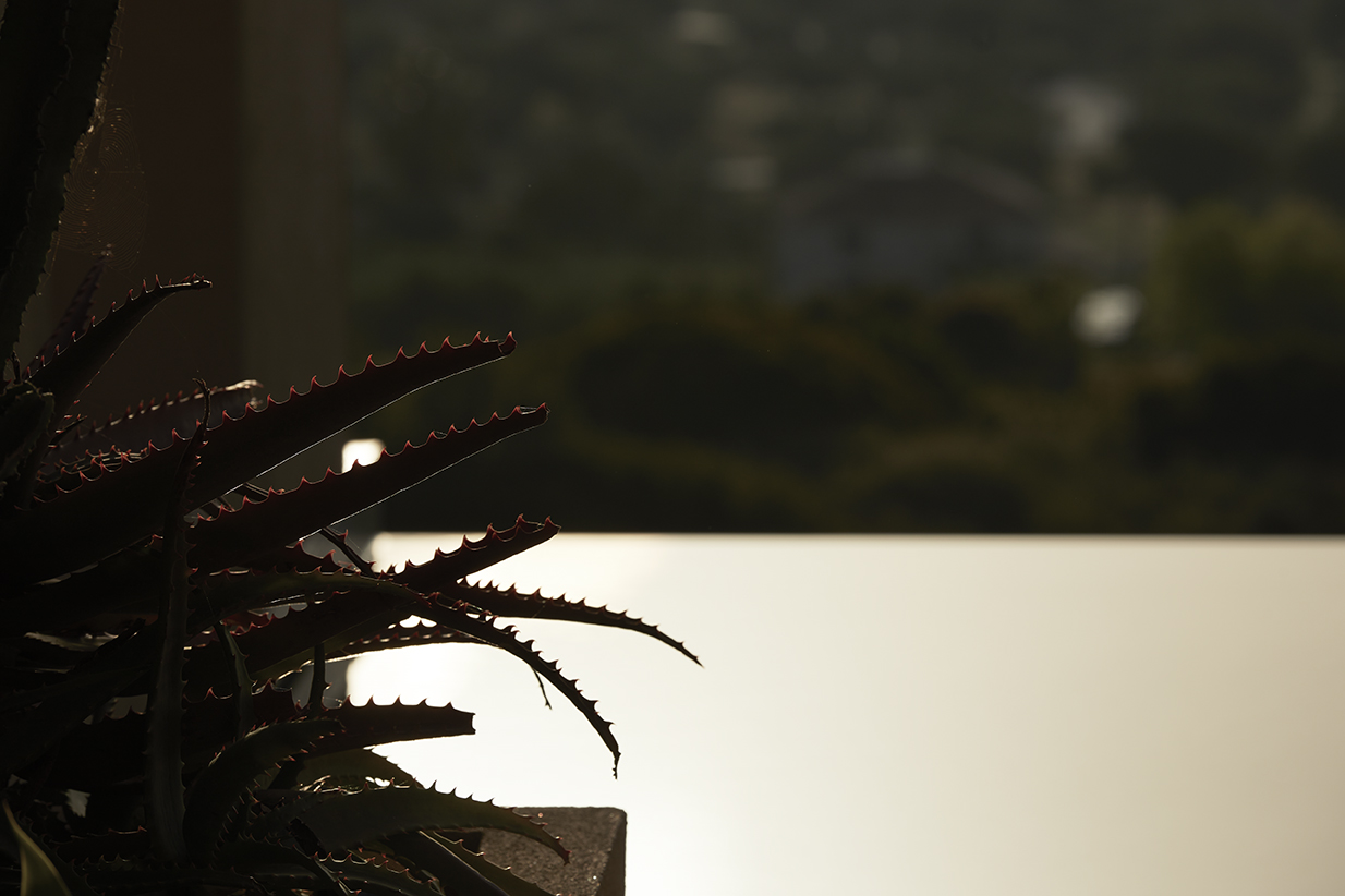 memorias_villas_suites_vassilikos_zakynthos